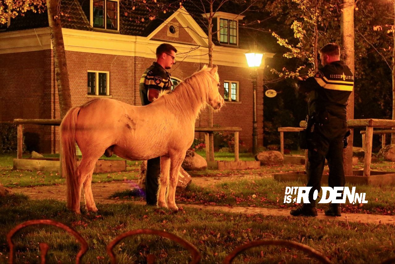 Hoofdafbeelding