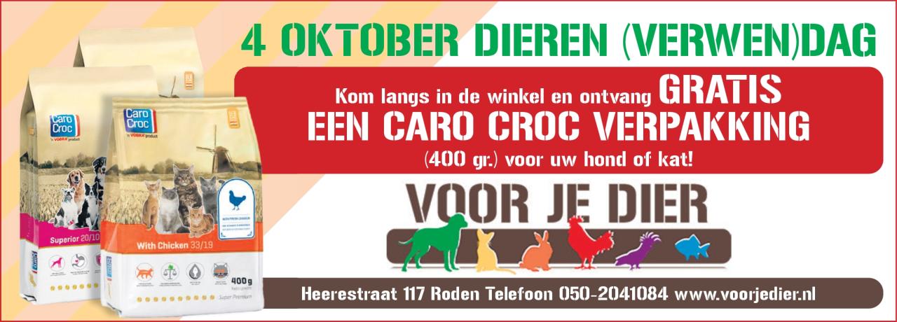 Hoofdafbeelding