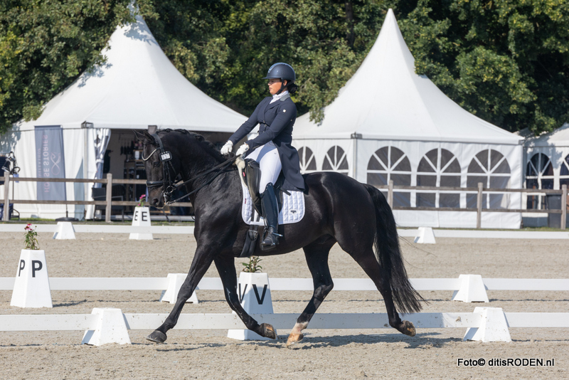 Hoofdafbeelding