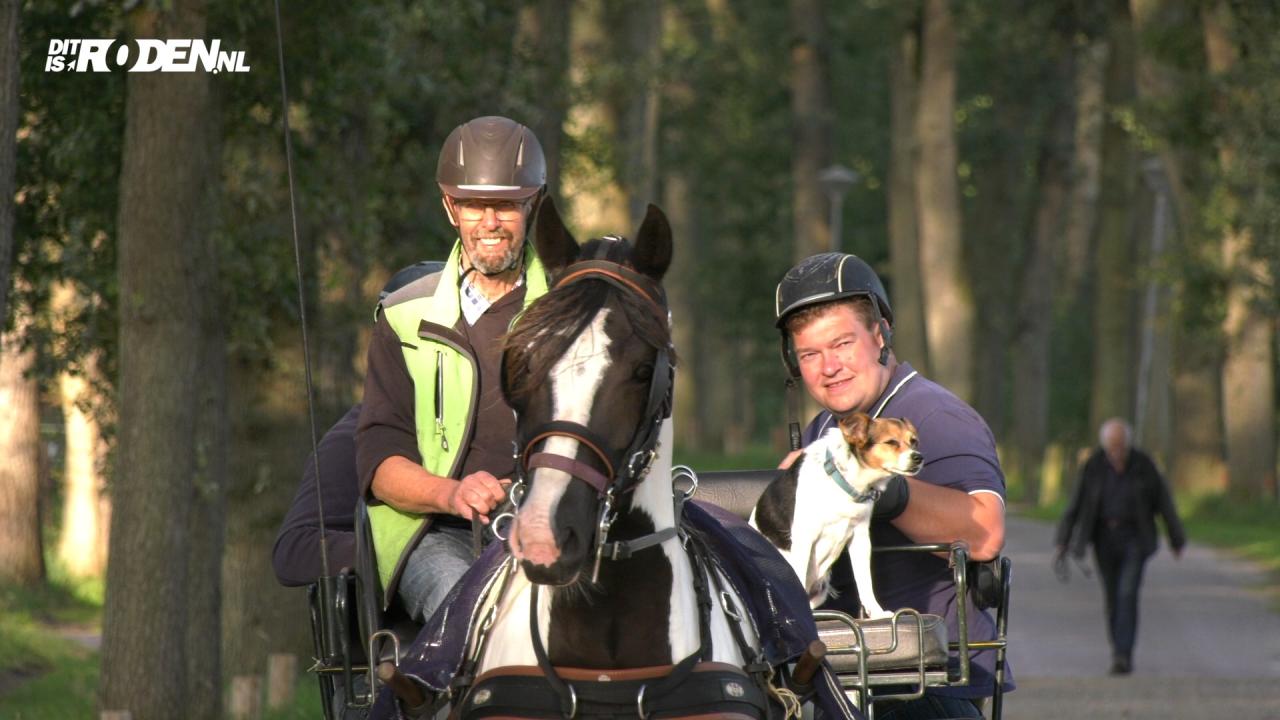 Hoofdafbeelding