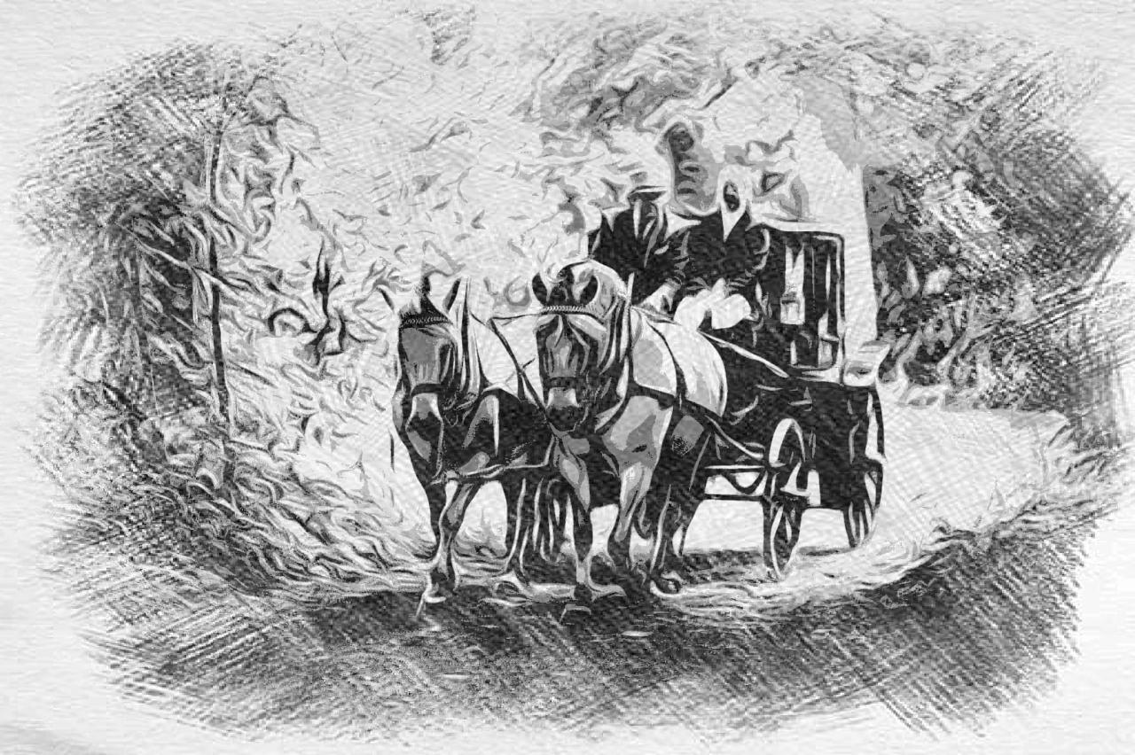 Hoofdafbeelding