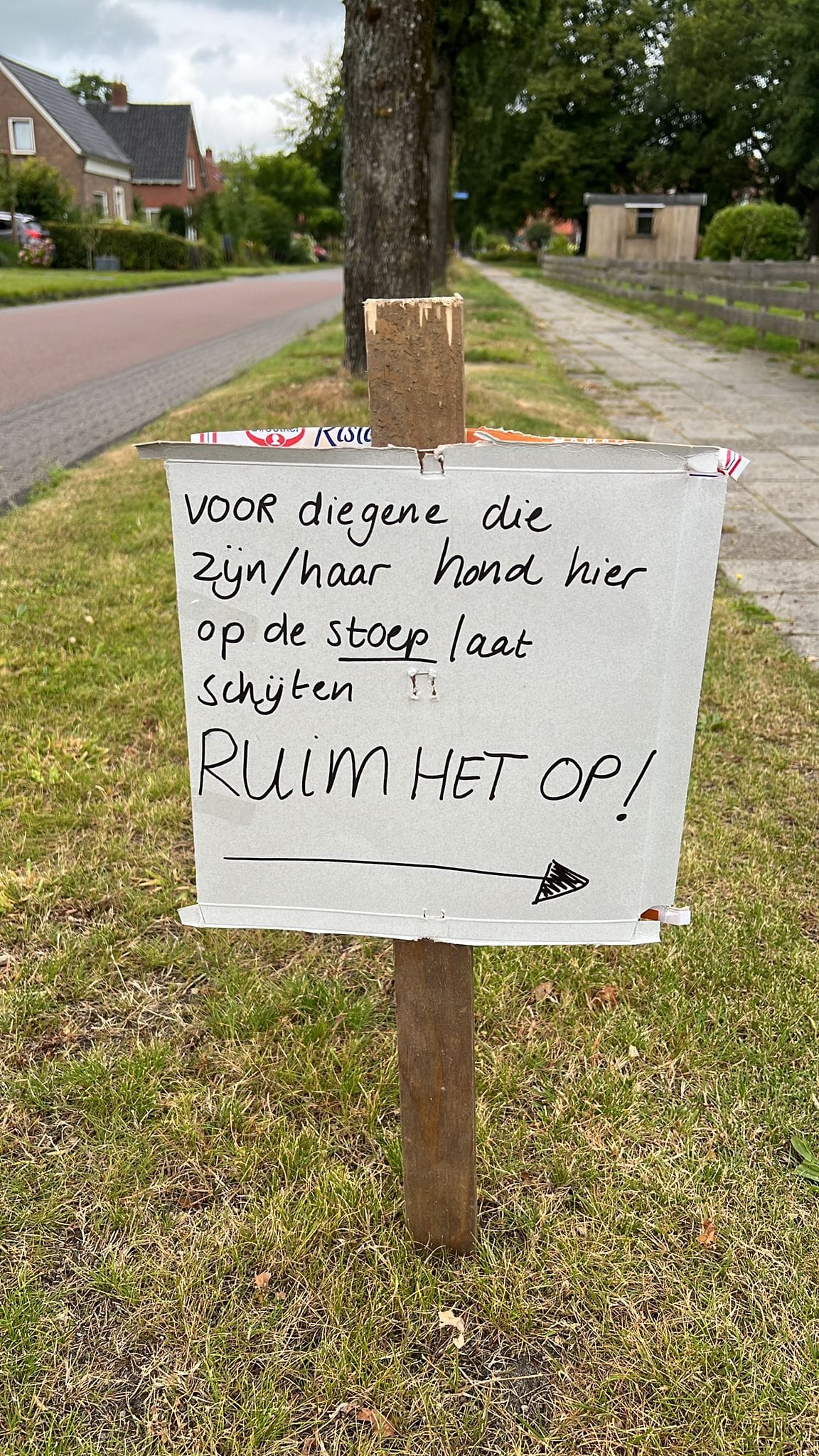 Hoofdafbeelding