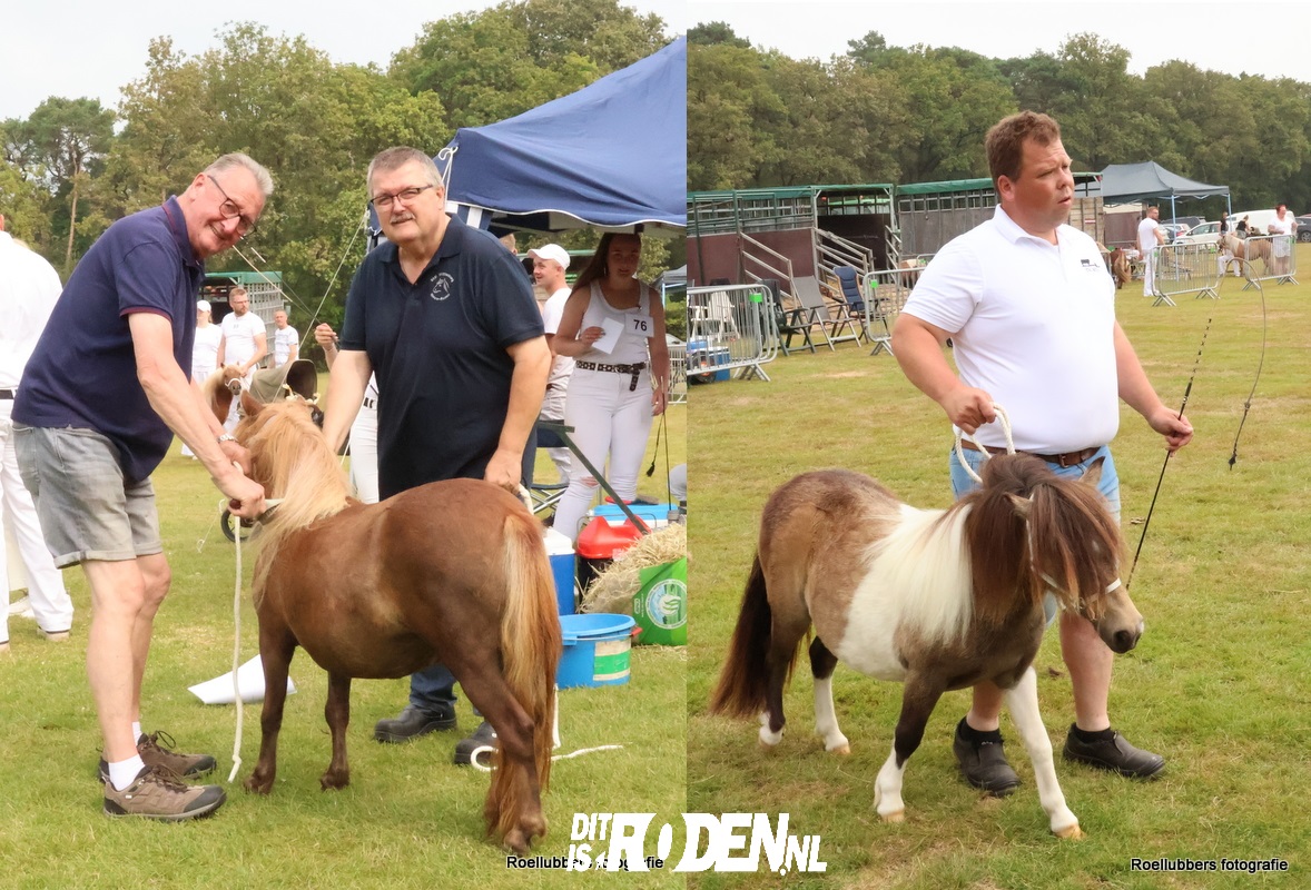 Hoofdafbeelding