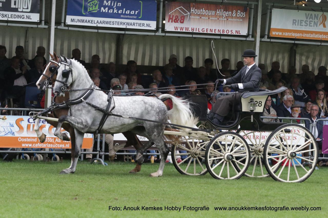 Hoofdafbeelding