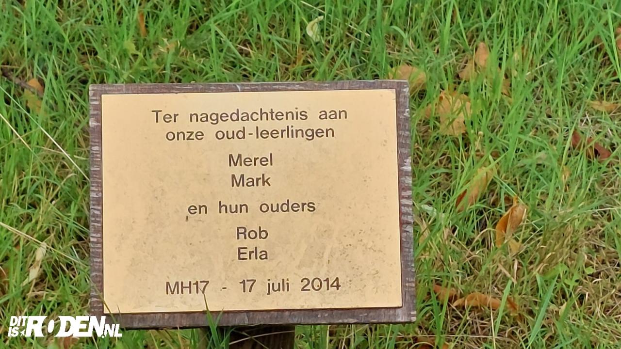 Hoofdafbeelding