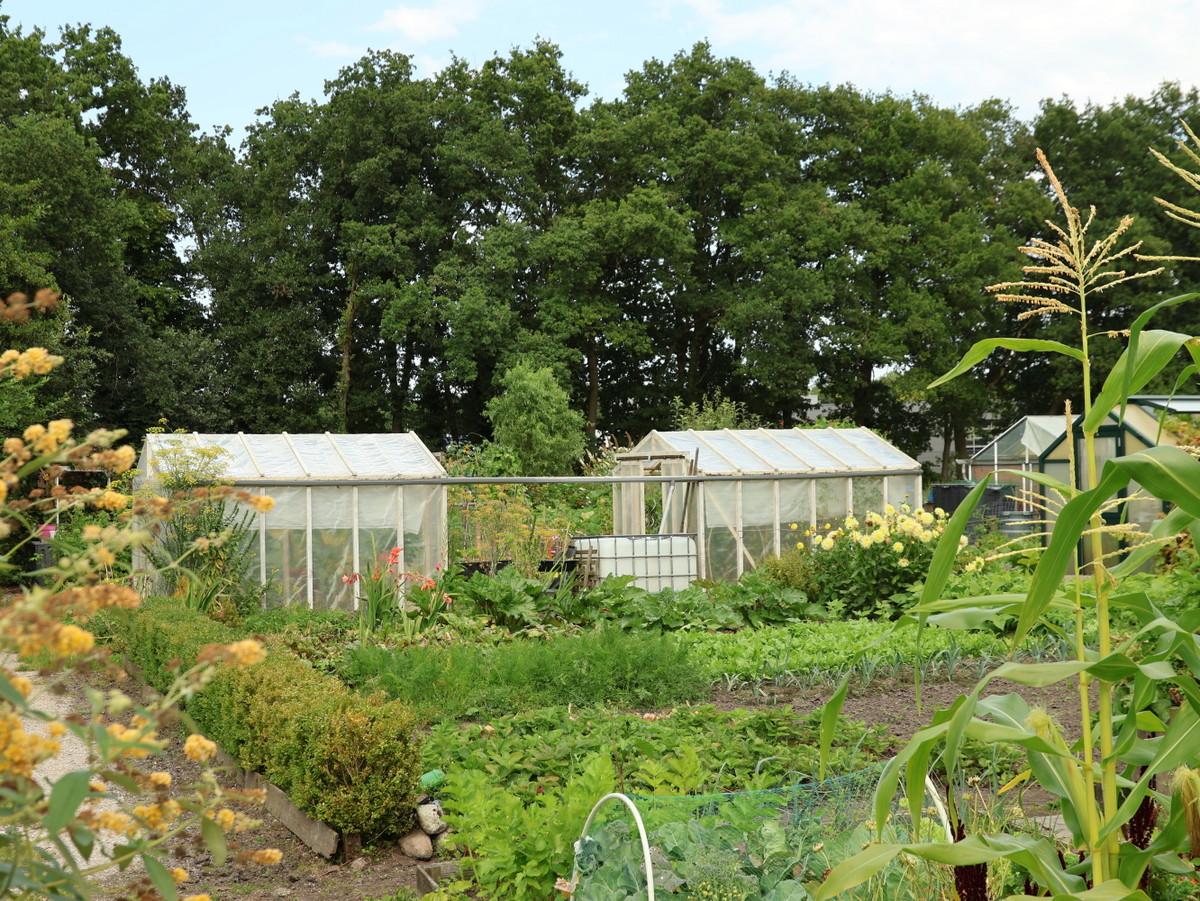 Goed jaar voor De Vrije Tijd Tuinders