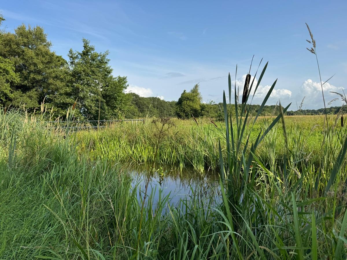 Neerslagtekort in Noorderzijlvest blijft hardnekkig: nog altijd in top-5 droogste jaren