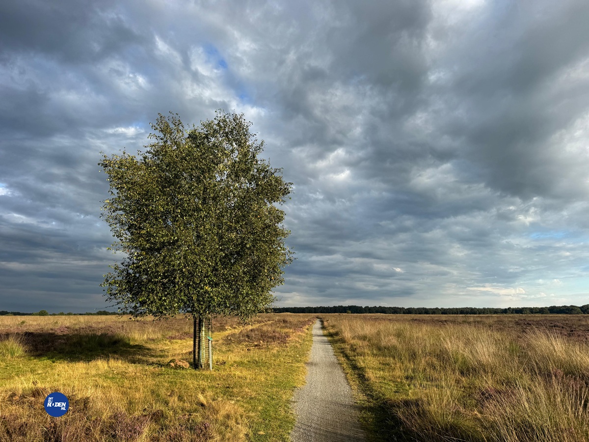 Wandelen langs het Oostervoortsche diepje bij Norg