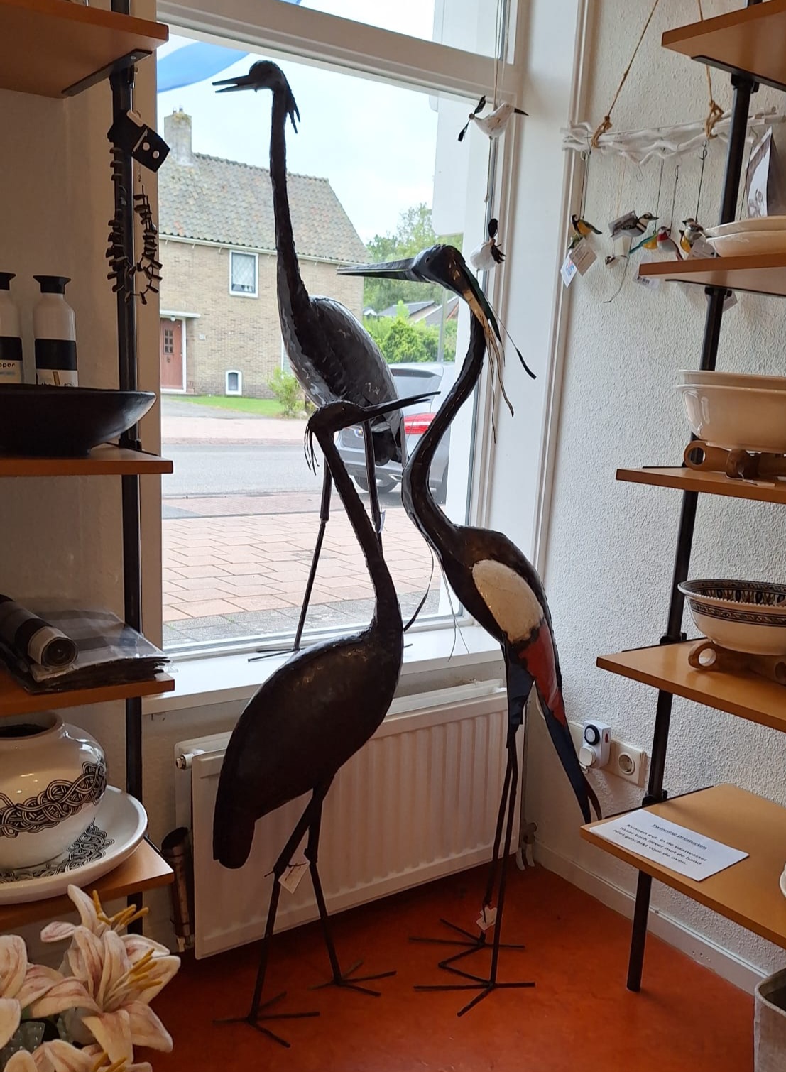 Vogels spotten bij de Wereldwinkel 