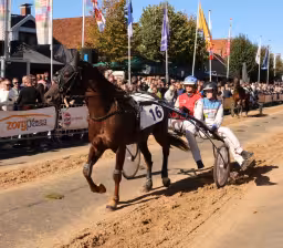 Spectaculaire kortebaandraverij in Roden: winst voor Rick Wester met Diapason