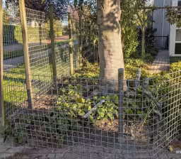 Tuinhek in Roden geramd door auto, bestuurder onbekend