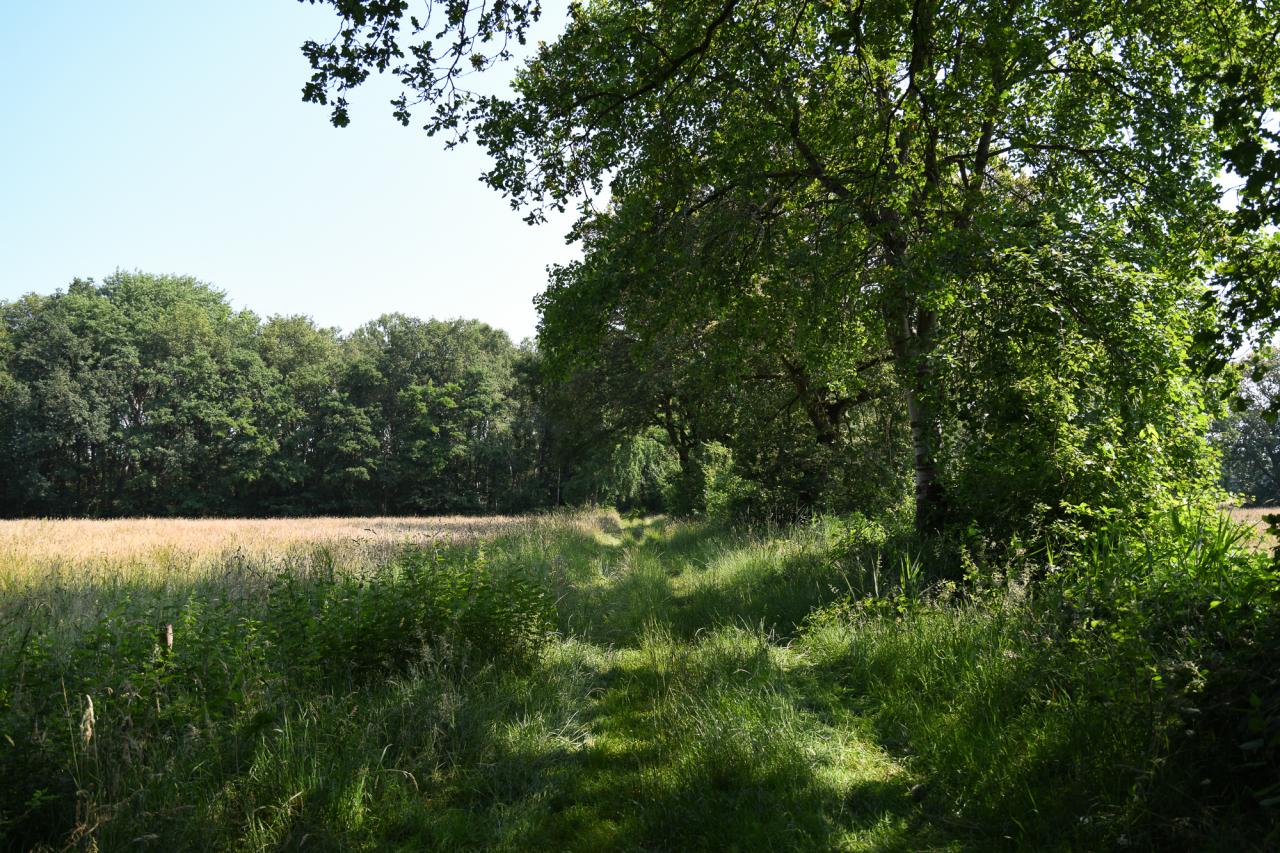 Hoofdafbeelding