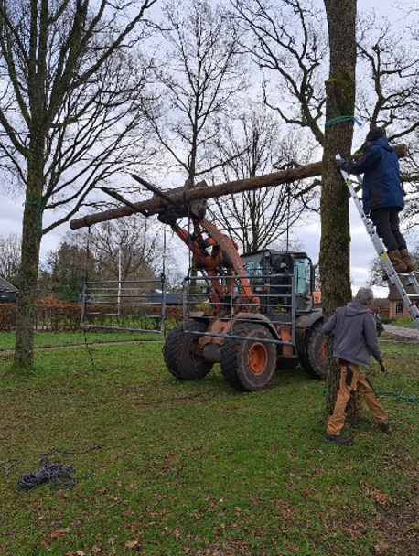 Hoofdafbeelding