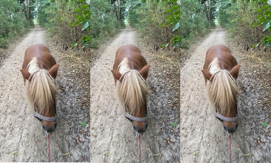 Hoofdafbeelding