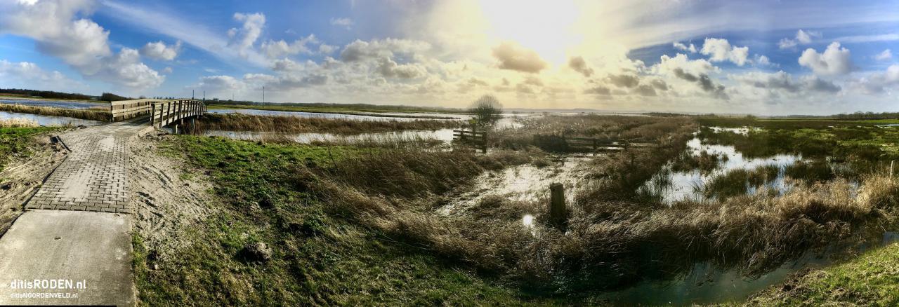 Drijfnat rondom Het Groote Diep 