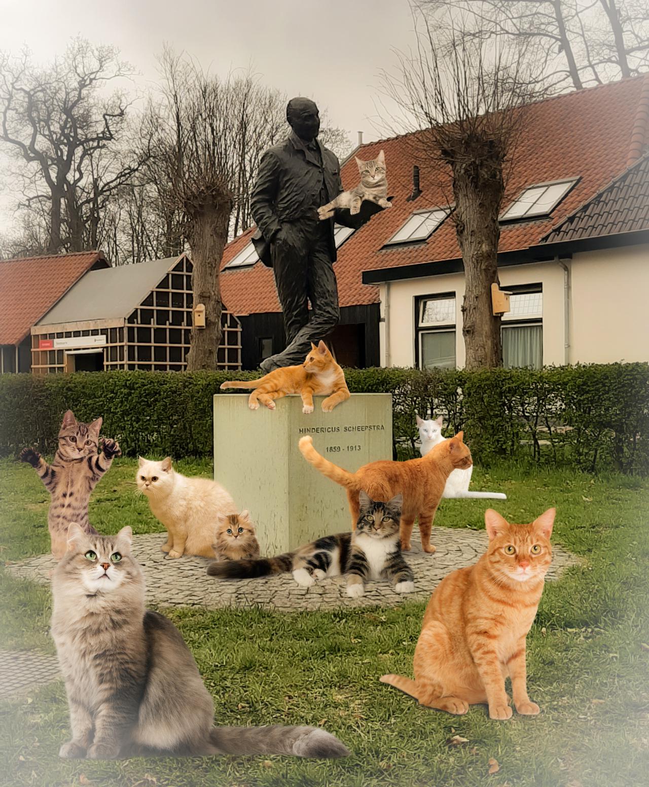 Hoofdafbeelding