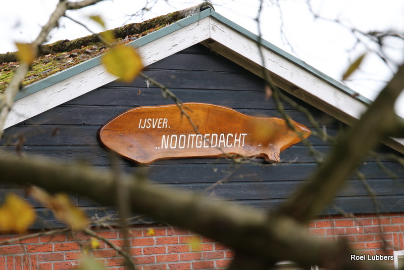 Hoofdafbeelding