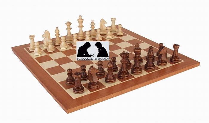 Schaakmatch tussen Leek en Roden begint met remise