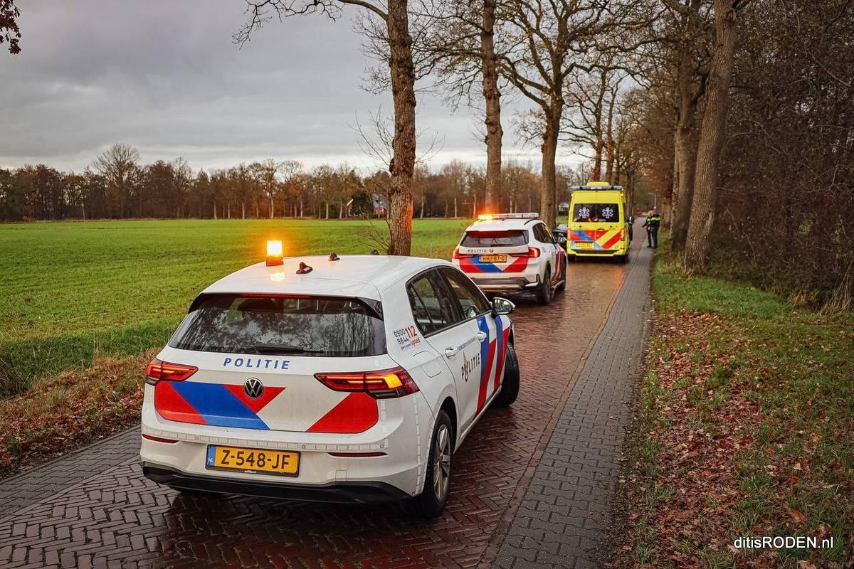Auto botst tegen boom in Foxwolde