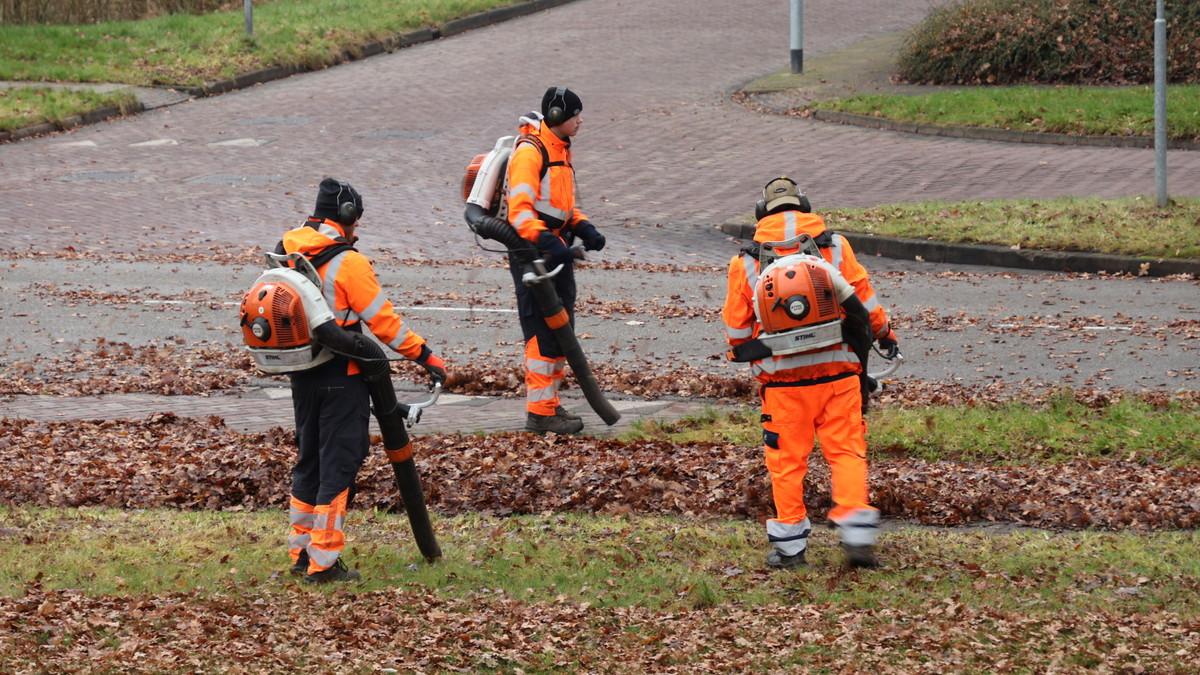  Drukke tijden voor de bladruimers