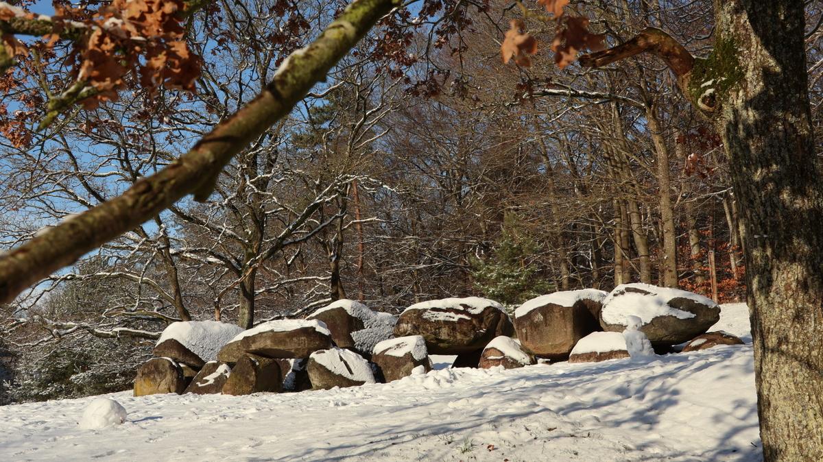 Sneeuwrondje door de gemeente Noordenveld