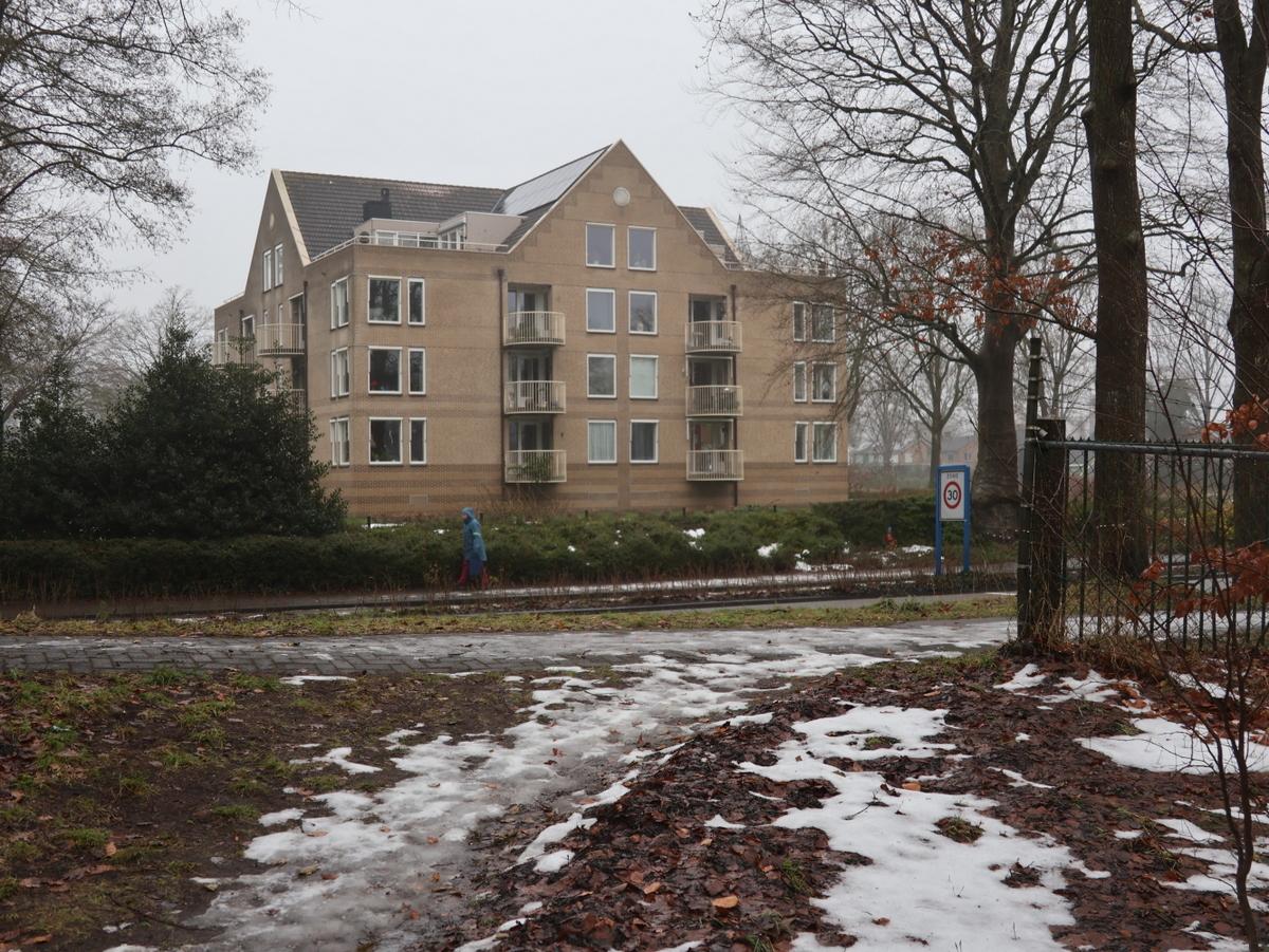 De vorst verdwijnt als sneeuw voor de zon.