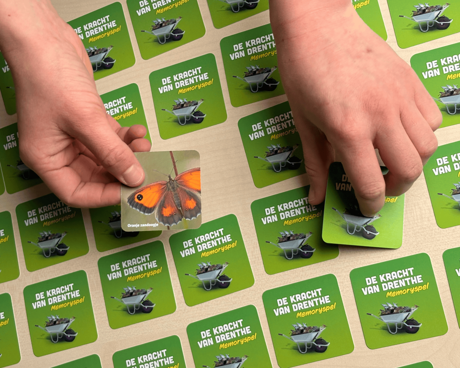 'Vergeet mij niet': memoryspel en groene speerpunten voor Drentse gemeenteraadsleden