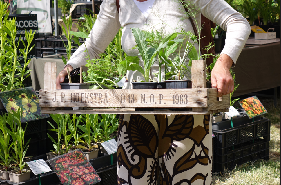 Eetbare Plantjesmarkt bij de Tuinen van Weldadigheid te Veenhuizen