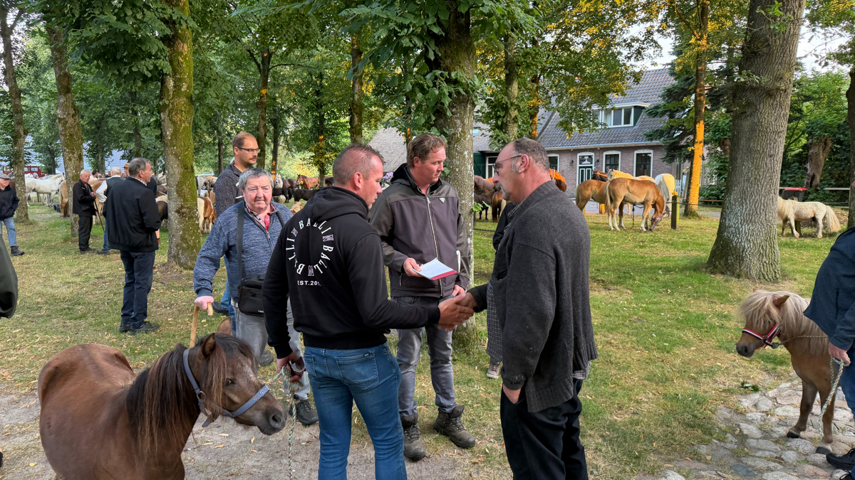 De Norgermarkt onder heerlijke weersomstandigheden van start gegaan.