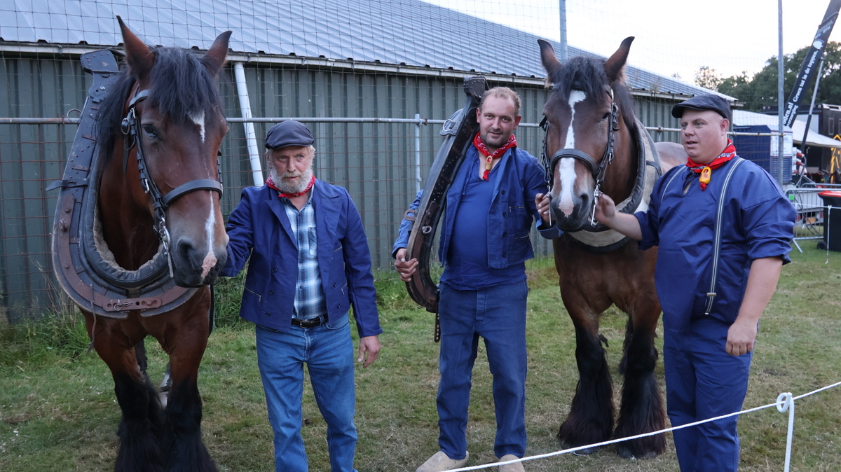 Smoelenparade tijdens Tuigpaardenconcours Norg