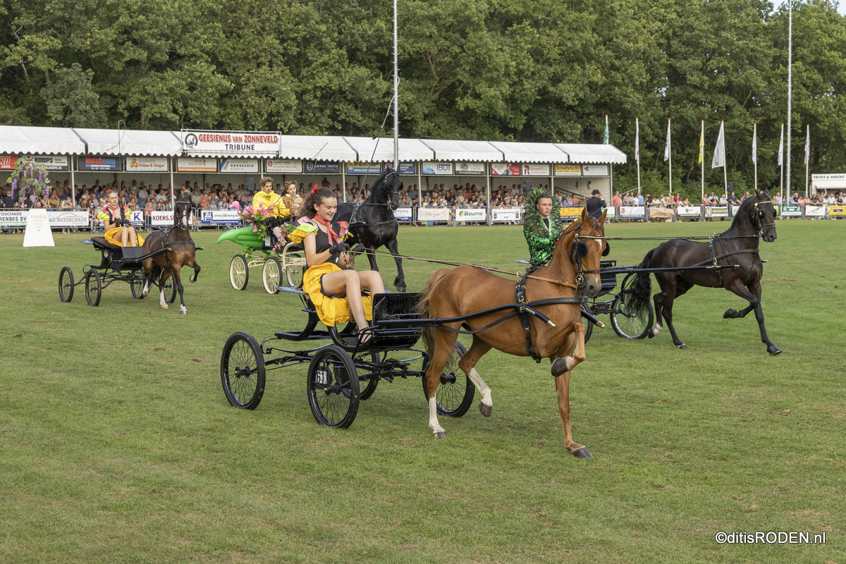 Norg geniet van topavond vol tuigpaarden, kampioenen en een oude bekende (foto's+video)
