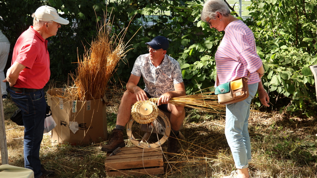 Enorme drukte bij Zomerfair Zevenhuizen