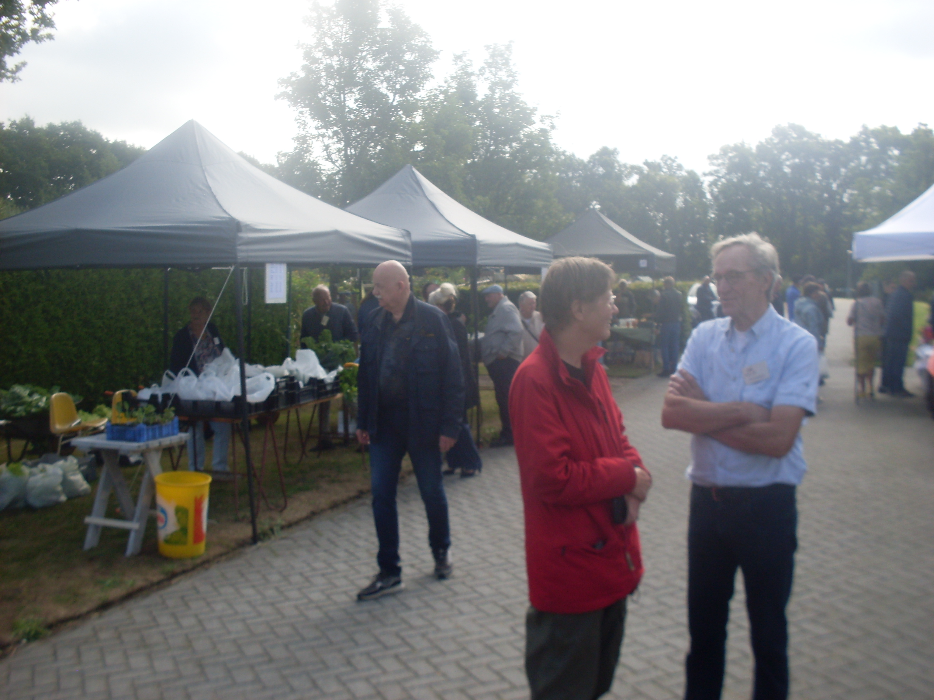Vijftig jaar De Vrije Tijdtuinders gevierd tijdens gezellige open dag in Roden