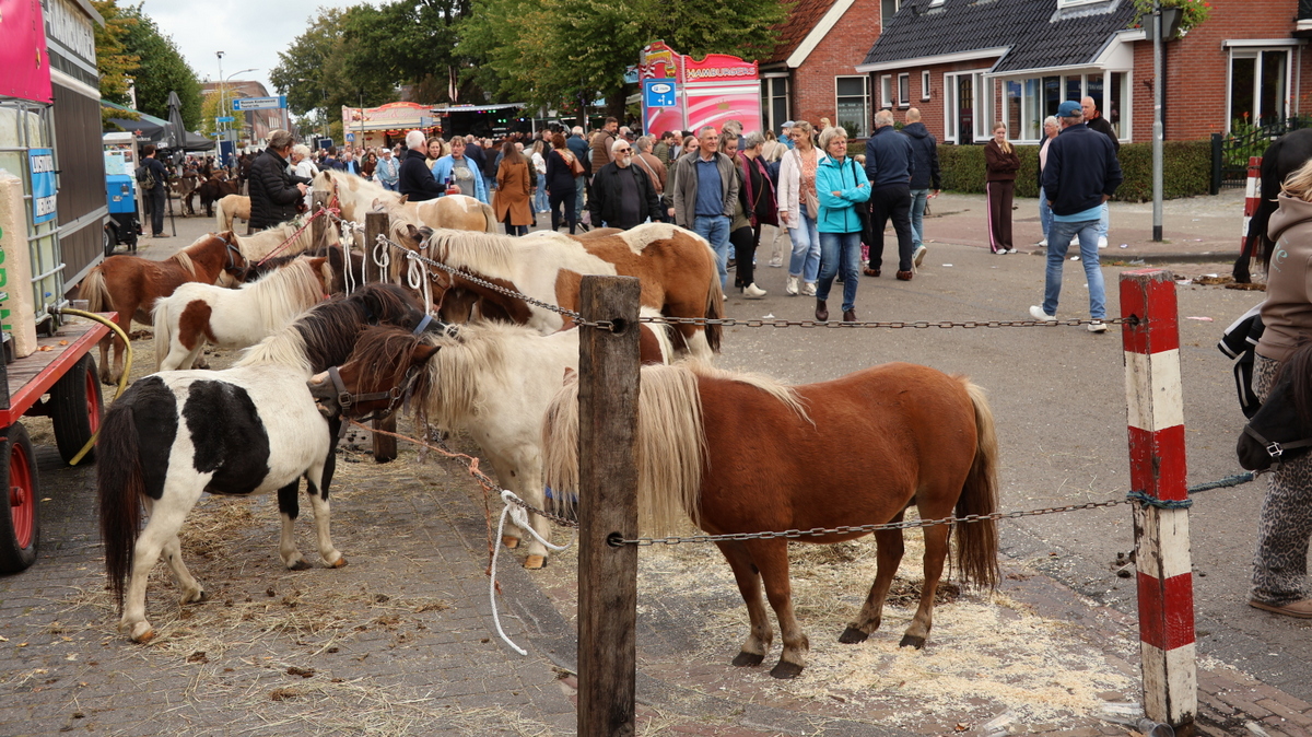 299ste Roder Paardenmarkt trapt Rodermarktdinsdag af met 117 paarden en 2 ezels