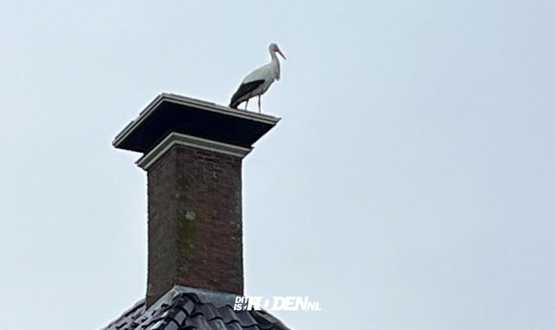 Hoofdafbeelding