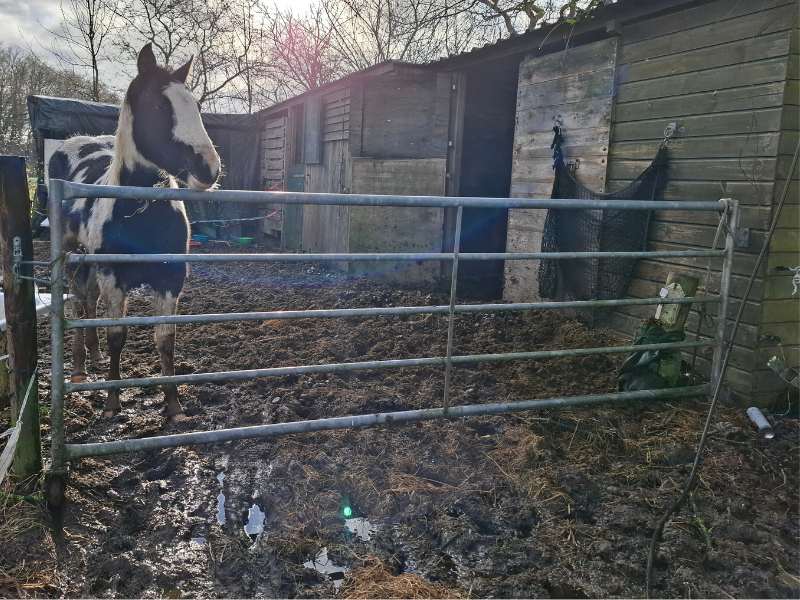 Hoofdafbeelding