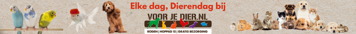 bezoek voorjedier.nl