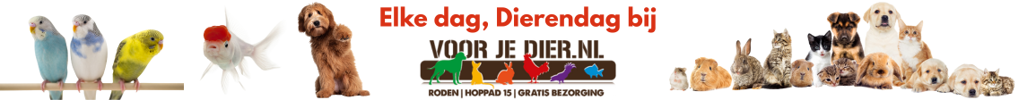 bezoek voorjedier.nl