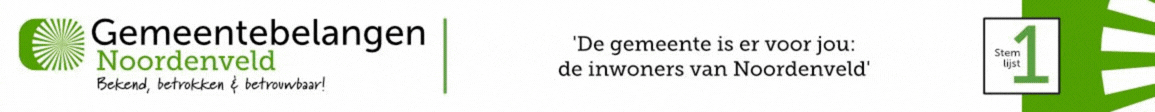bezoek gemeentebelangennoordenveld.nl