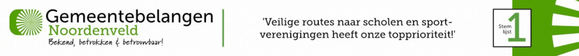 bezoek gemeentebelangennoordenveld.nl